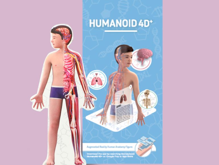 Human Body for Kids – How to Provide a Proper Introduction of Human Body for Kids | By Octagon Studio